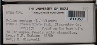 Image Associated With the Occurence
